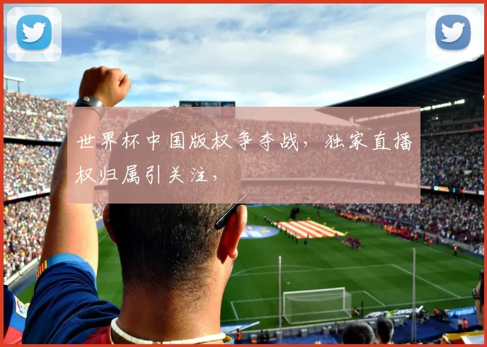世界杯中国版权争夺战，独家直播权归属引关注，