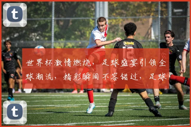 世界杯激情燃烧，足球盛宴引领全球潮流，精彩瞬间不容错过，足球文化传承发展。